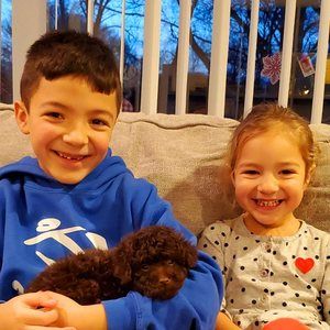 Meet your Posher, Marisa